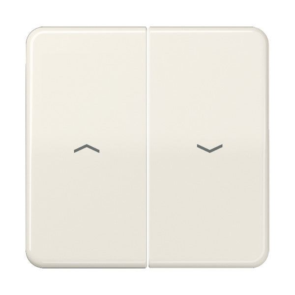 Elemento De Control/conmutador De Placa Central CD500 De Jung - CD595P