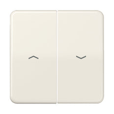 Elemento De Control/conmutador De Placa Central CD500 De Jung - CD595P