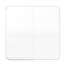 Elemento De Control/conmutador De Placa Central CD500 De Jung - CD595WW