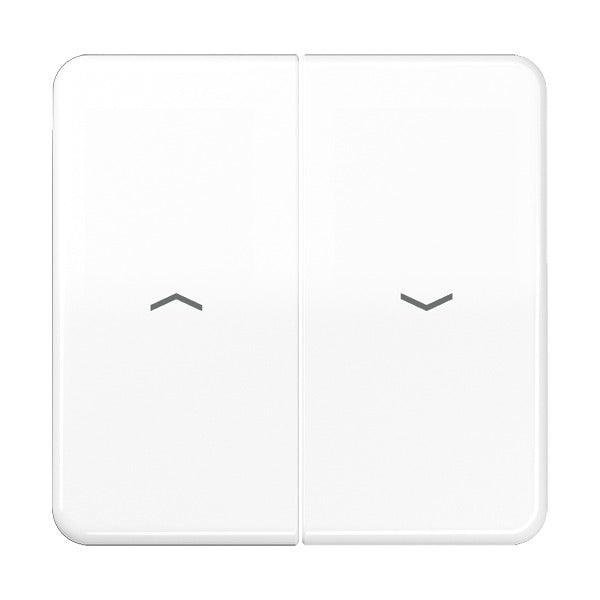 Elemento De Control/conmutador De Placa Central CD500 De Jung - CD595PWW