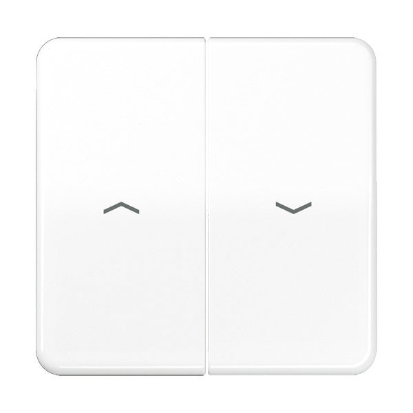 Elemento De Control/conmutador De Placa Central CD500 De Jung - CD595PBFWW