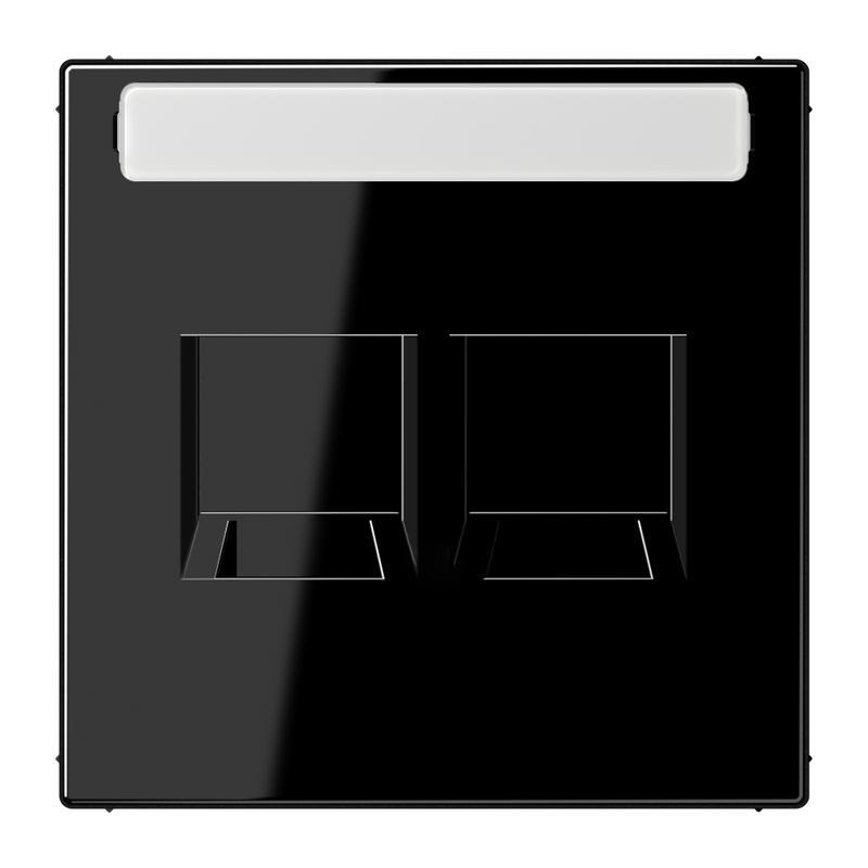 Aparamenta con placa de inserción Jung - LS1969-2NAWESW