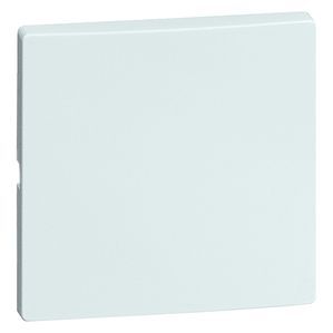 Honeywell Peha DIALOG Elemento De Control/Conmutador De Placa Central - 00848911