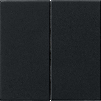 Gira Sistema 55 Elemento De Mando/Conmutador De Placa Central - 0266005