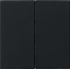 Gira Sistema 55 Elemento De Mando/Conmutador De Placa Central - 0266005