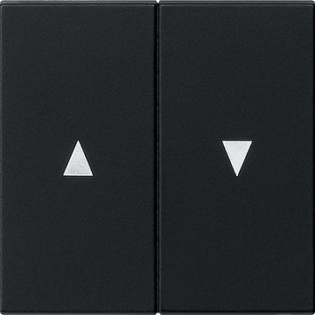 Gira Sistema 55 Elemento De Mando/Conmutador De Placa Central - 0294005