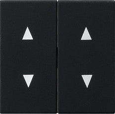 Gira Sistema 55 Elemento De Mando/Conmutador De Placa Central - 1150005