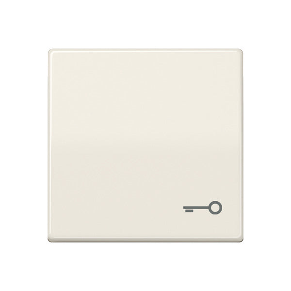 Elemento De Control/conmutador De Placa Central AS500 De Jung - AS591T