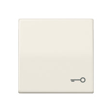 Elemento De Control/conmutador De Placa Central AS500 De Jung - AS591T