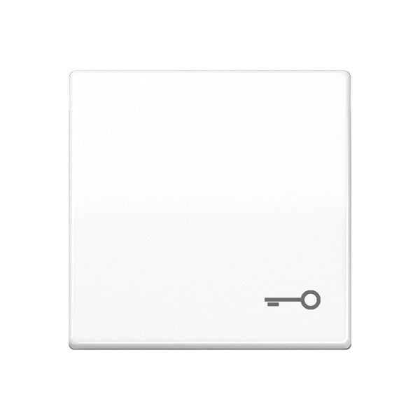 Elemento De Control/conmutador De Placa Central AS500 De Jung - AS591TWW