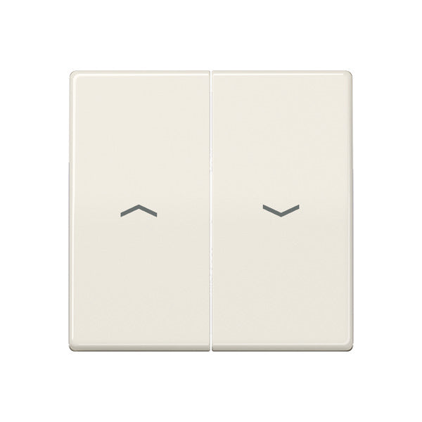 Elemento De Control/conmutador De Placa Central AS500 De Jung - AS591-5P