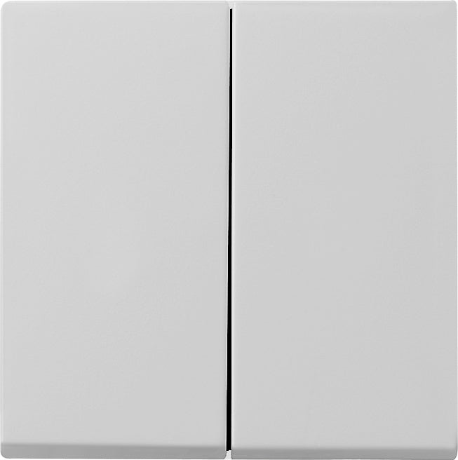 Gira Sistema 55 Elemento De Mando/Conmutador De Placa Central - 0295015