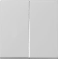 Gira Sistema 55 Elemento De Mando/Conmutador De Placa Central - 0295015