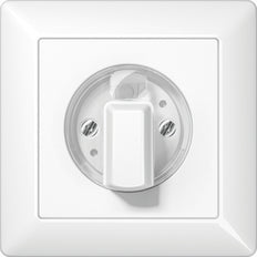 Elemento De Control Jung/Conmutador De Placa Central - AS1541WW