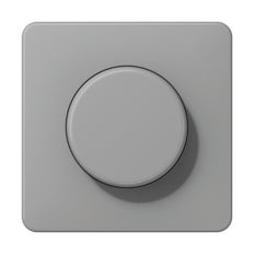 Elemento De Control/conmutador De Placa Central CD500 De Jung - CD1540GR