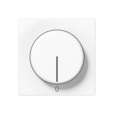 Elemento De Control Jung/Conmutador De Placa Central - A1540.20WW