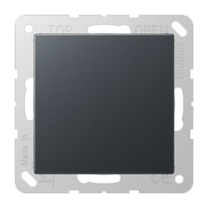 Elemento De Control Jung/Conmutador De Placa Central - A594-0ANM