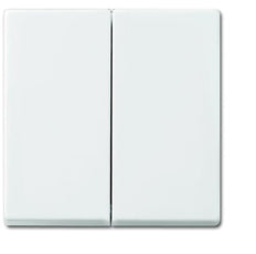 ABB Busch-Jaeger Balance SI Elemento De Control/Conmutador De Placa Central - 2CKA001731A2005