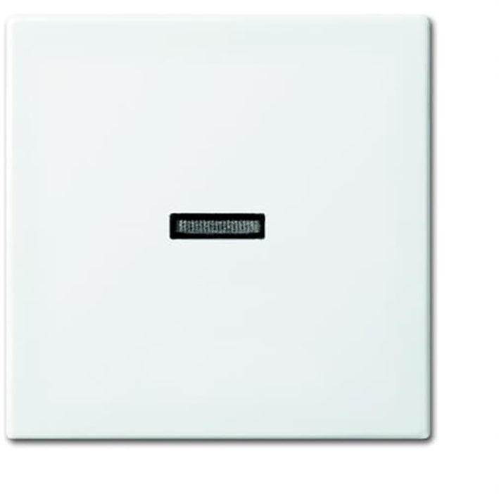 ABB Elemento de control Busch-Jaeger/Conmutador de placa central - 2CKA001731A2009 [2 Piezas]