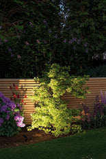 Paulmann Iluminación para jardín/caminos - 93696