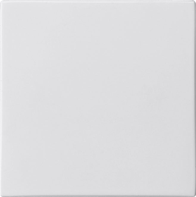 Gira Enchufe y Luz Downlight/Spotlight/Floodlight - 2698102