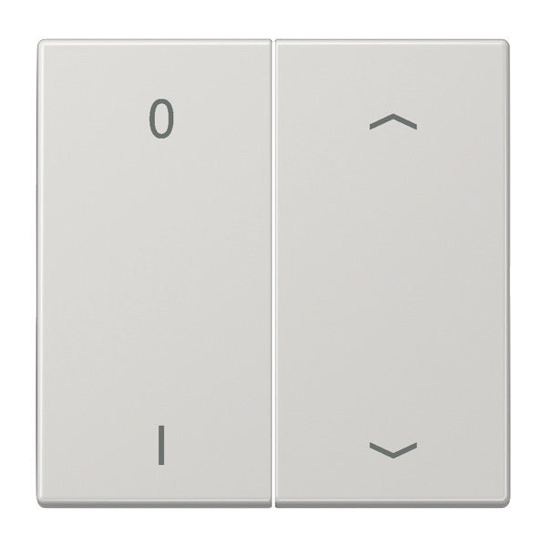 Jung Transmisor de pared inalámbrico EnOcean LS990 de 4 canales con símbolos - ENOLS995P01LG