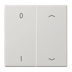 Jung Transmisor de pared inalámbrico EnOcean LS990 de 4 canales con símbolos - ENOLS995P01LG