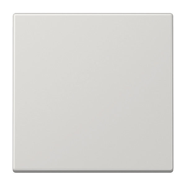 Jung EnOcean LS990 Transmisor inalámbrico de pared de 2 canales - ENOLS990LG