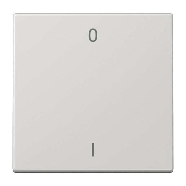 Jung Enofunk LS990 2K Transmisor de pared Gris claro - ENOLS990-01LG