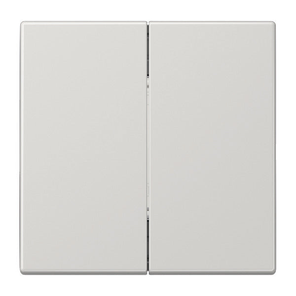 Jung EnOcean Transmisor remoto de pared LS990 de 4 canales - ENOLS995LG