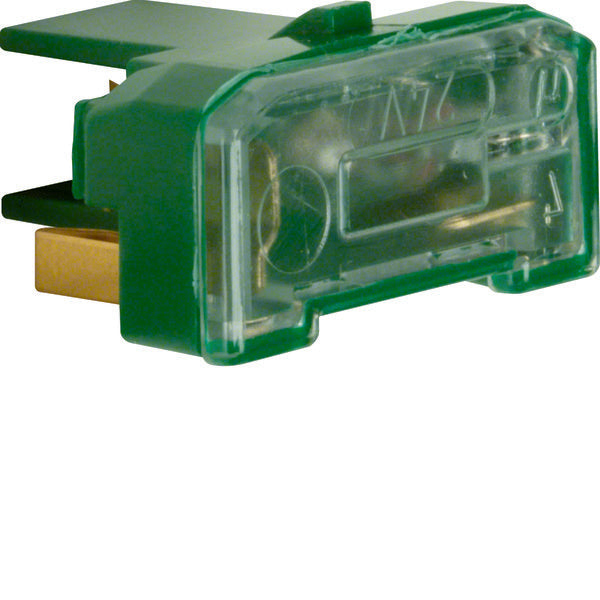 Hager Berker Lámpara incandescente verde con terminal N - 167601