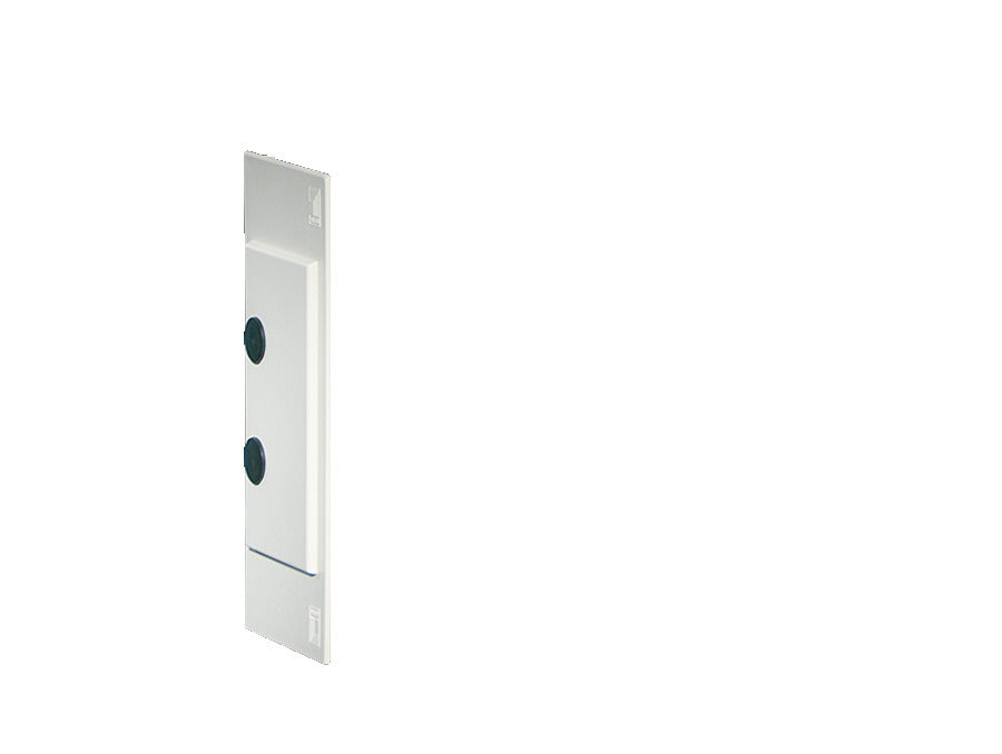 Rittal Mini PLS Tapa Gris RAL 7035 - 9610000 [2 Piezas]