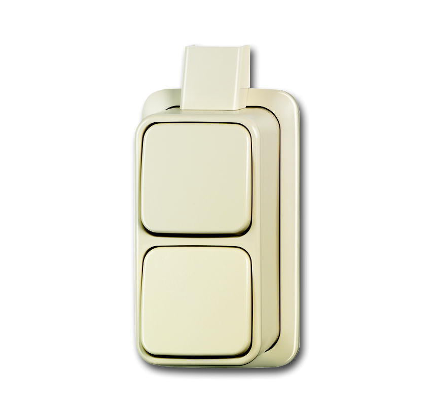 ABB Busch-Jaeger Interruptor De Palanca Doble Superficie 10AX 250V - 2CKA001042A1014