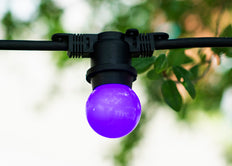 Bailey Led Bola De Fiesta G45 E27 1W Púrpura - 143329 [2 Piezas]