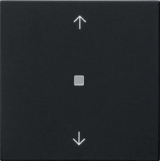 Gira Enet Unidad De Control Inalámbrica Flecha Negro Mate - 5494005
