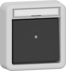 Gira IP44 Botón De Palanca De Superficie Gris - 315635
