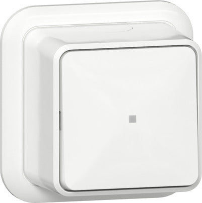 Gira Interruptor De Control De 2 Polos Con Indicador LED Montaje En Superficie - 311211
