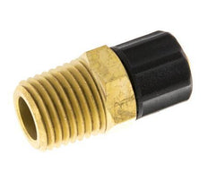 Conector Recto Latón 6x4 & 1/4''NPT Rosca Macho [2 piezas]