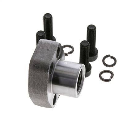 1/2'' Brida SAE 3000 PSI Acero liso con rosca hembra G1/2'' ISO 6162-1