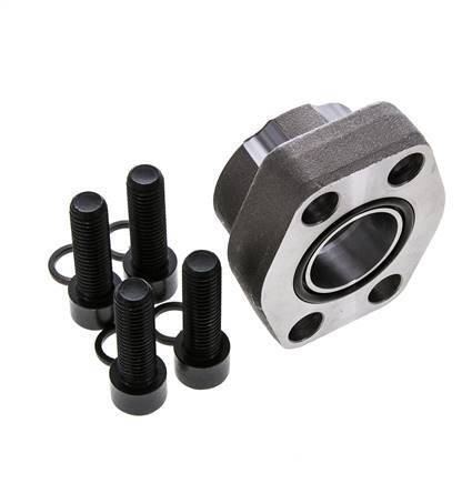 Brida SAE 1-1/4'' Acero liso 3000 PSI con roscas hembra G1-1/4'' ISO 6162-1