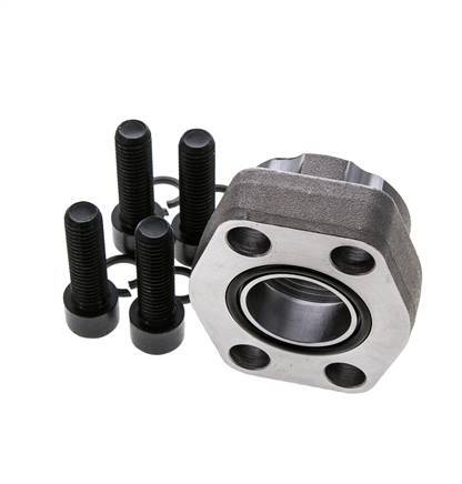 Brida SAE 1-1/4'' Acero liso 3000 PSI con roscas hembra G1-1/4'' ISO 6162-1
