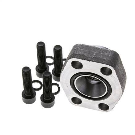 Brida SAE de 1-1/4'' Acero liso 3000 PSI con roscas hembra G3/4'' ISO 6162-1
