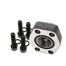 Brida SAE de 1-1/4'' Acero liso 3000 PSI con roscas hembra G3/4'' ISO 6162-1