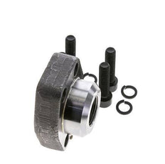 Brida SAE de 1-1/4'' Acero liso 3000 PSI con roscas hembra G3/4'' ISO 6162-1