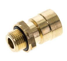 ABC Nl Conector recto T12x1,5 M16x1,5 - 90112016 [2 Piezas]