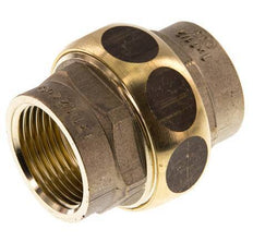 Unión Conector Recto Rp1'' Hembra Latón Junta Plana Centellen 16bar (224.8psi)