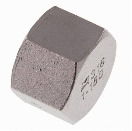 Rp 1'' Tapa final de acero inoxidable 16 Bar