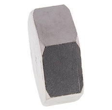 2 1/2'' NPT Tapa final de acero inoxidable 16 Bar
