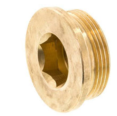 G 1 1/2'' Tapón de cierre de latón con hexágono interior 16 Bar