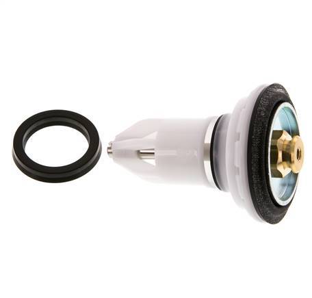 Kit de sustitución de válvulas R 1'' y R 11/4'' 1,5 - 12bar Braukmann